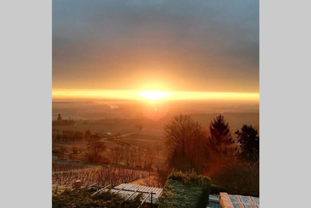 Apartamento Vue Panoramique Sur Le Vignoble Sancerre Exterior foto