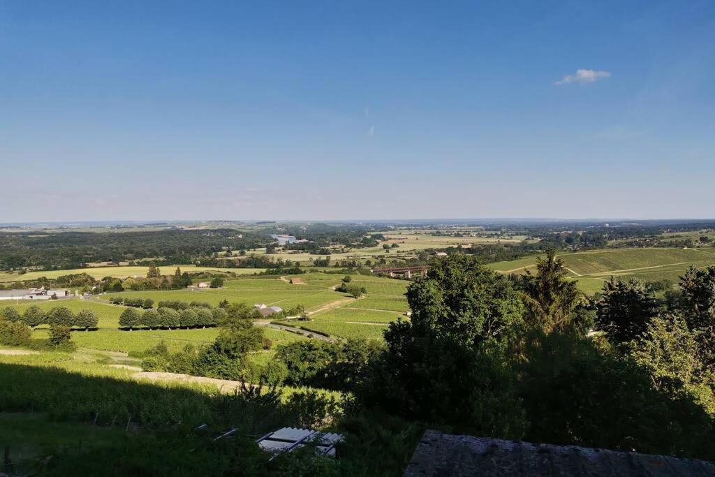 Apartamento Vue Panoramique Sur Le Vignoble Sancerre Exterior foto